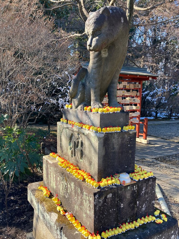 所沢・多聞院の狛トラ。