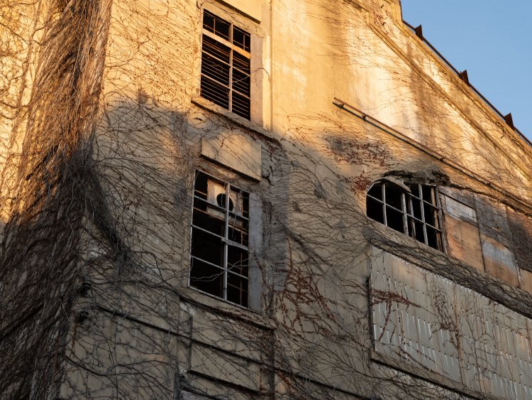 根岸競馬場一等馬見所