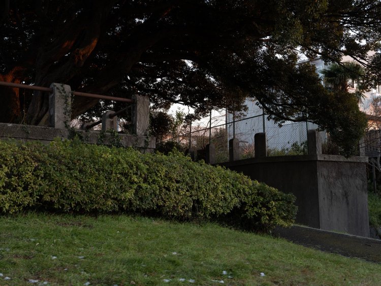 一等馬見所の端部分にあるコンクリートの擁壁と欄干。これらは競馬場時代からありそうな雰囲気がする。