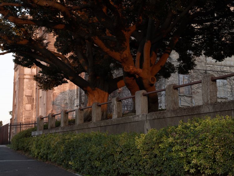 同じく擁壁と欄干。説明板に掲示された竣工時の写真を見ると、これと同じ形と思える欄干が写っているのだが……。