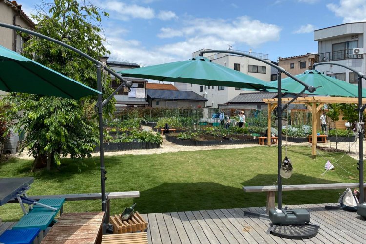 手作りの広々したウッドデッキの前には芝生広場が広がる（写真提供：てらたま）。