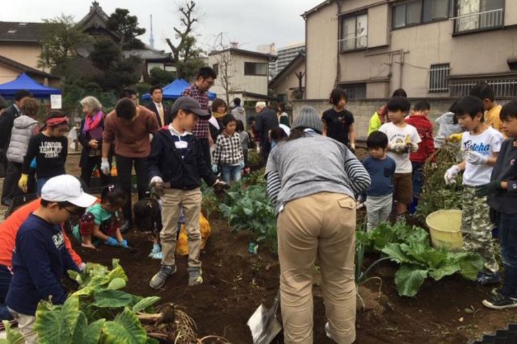 秋の収穫祭の様子（写真提供：てらたま）。