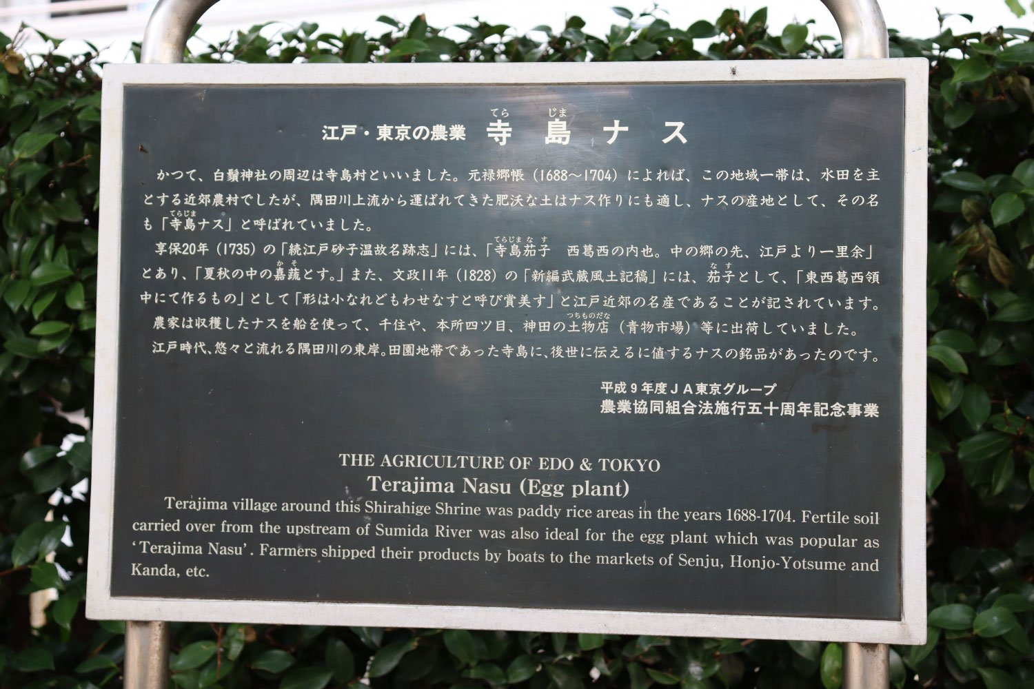 白髭神社に設置された、寺島なすの説明板。