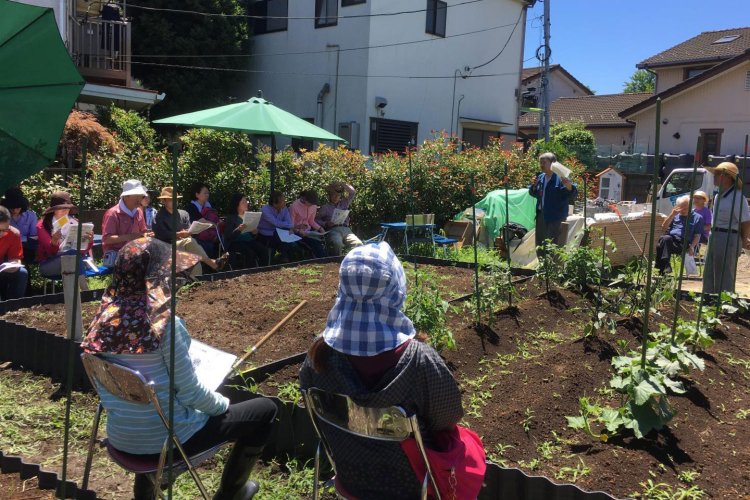 寺島なす勉強会の様子（写真提供：てらたま）。