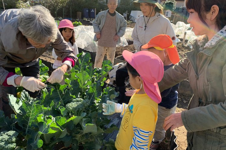 農園には幅広い世代の方々が集まる（写真提供：てらたま）。
