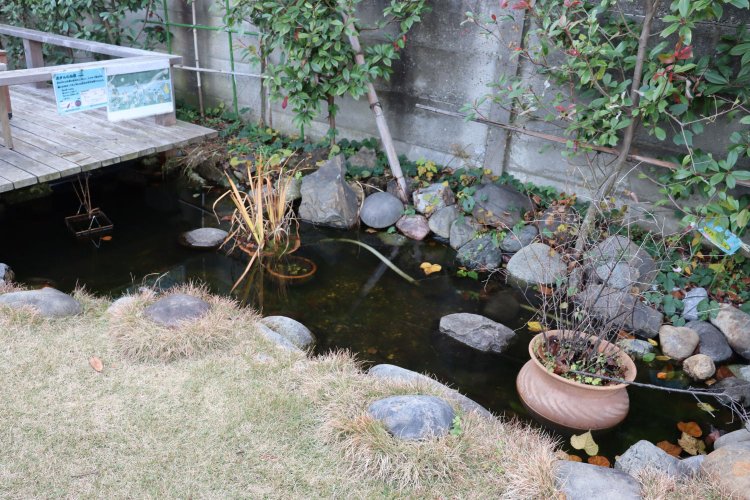 園内に作られたビオトープ。夏にはホタルが放たれる予定だ。
