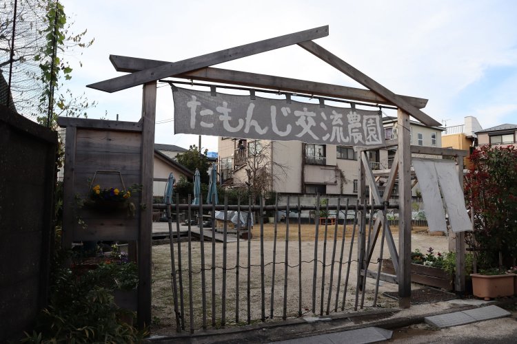 農園の入り口。暖簾も手作りしたもの。