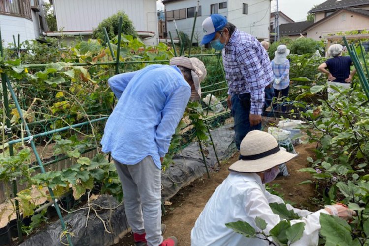 農作業を介し情報交換や交流が育まれる（写真提供：てらたま）。