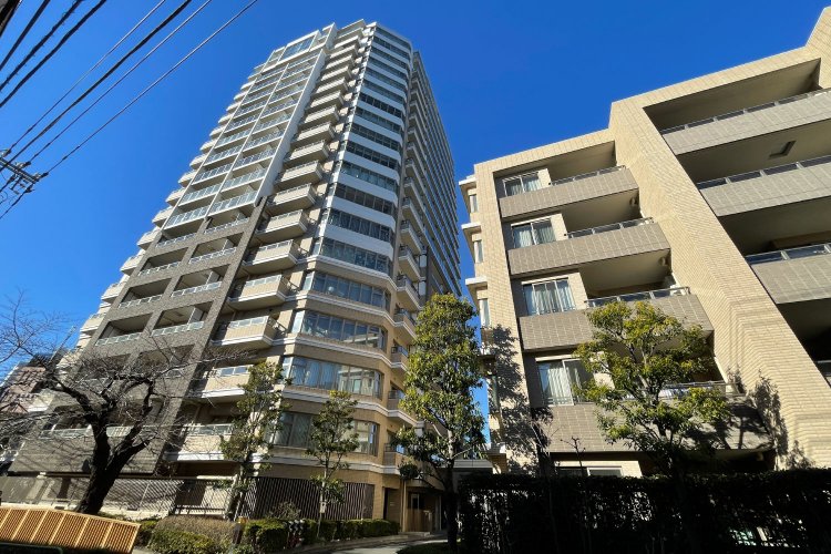 広い公開空間を設け、敷地周辺には街路樹と散策路「時の散歩道」をめぐらせる。