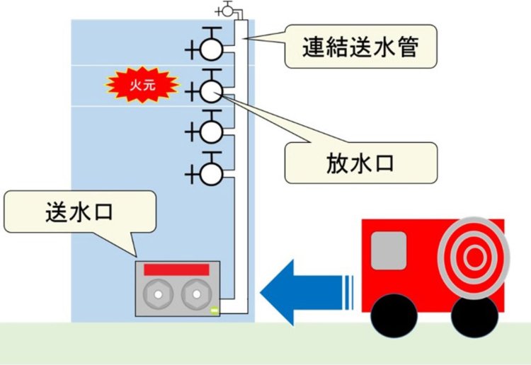 消防車からの水を送り込む入り口にあるのが「送水口」（イラスト：佐々木あやこさん）。