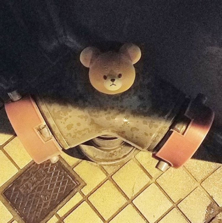 クマの頭部がお供えされた送水口。