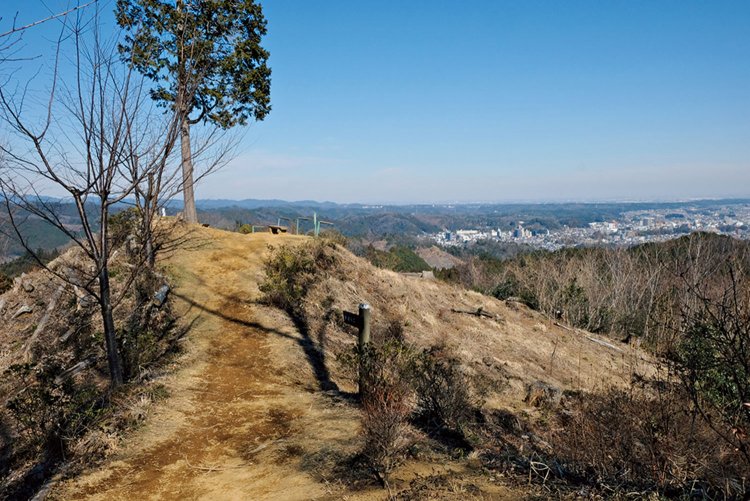 地面がむき出しの赤ぼっこ。なぜか檜が１本だけ立っている。