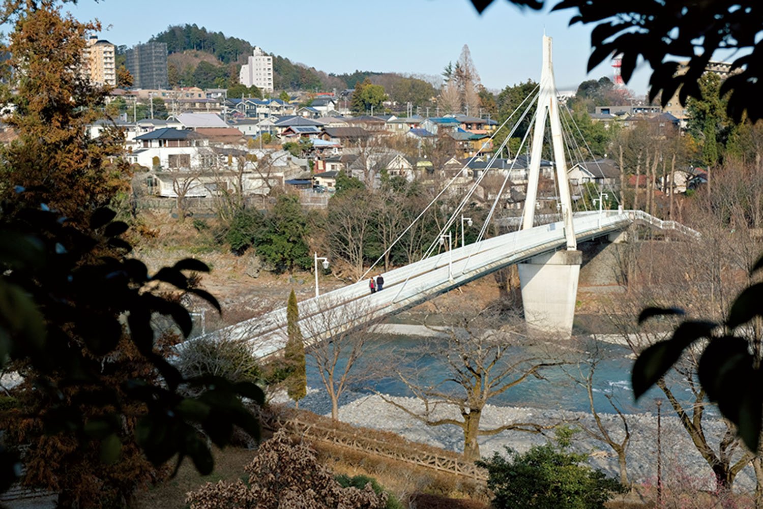青梅駅近くの釜の淵公園内にある多摩川にかかる鮎美橋。この橋を渡って青梅駅へ。