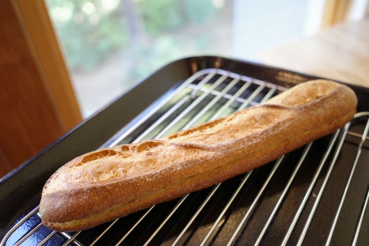 あっさりもちっとした食感が特徴の小麦粉、ハルキラリを使用したミルクフランス。練乳入りのミルククリームの甘さがやさしく広がる。ミルクフランス230円。