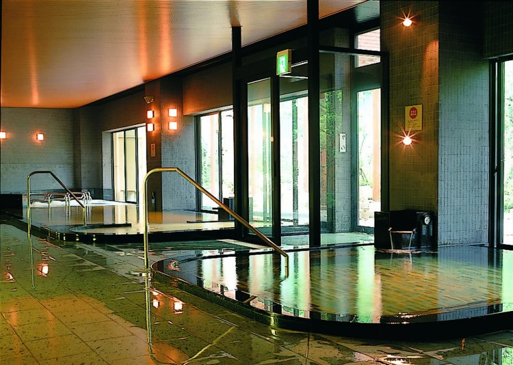 手前が高濃度人工炭酸泉。露天風呂への出入口を挟んでメインの浴槽がある。