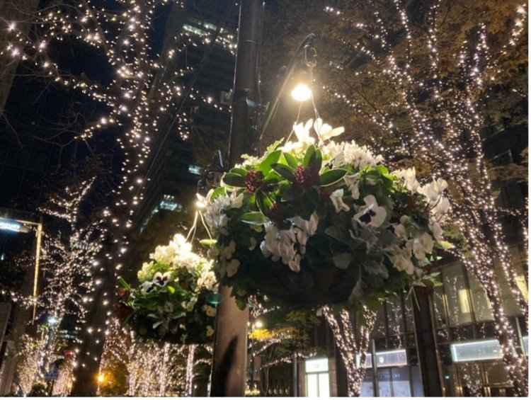 オレの心象風景。シアワセ感満載。