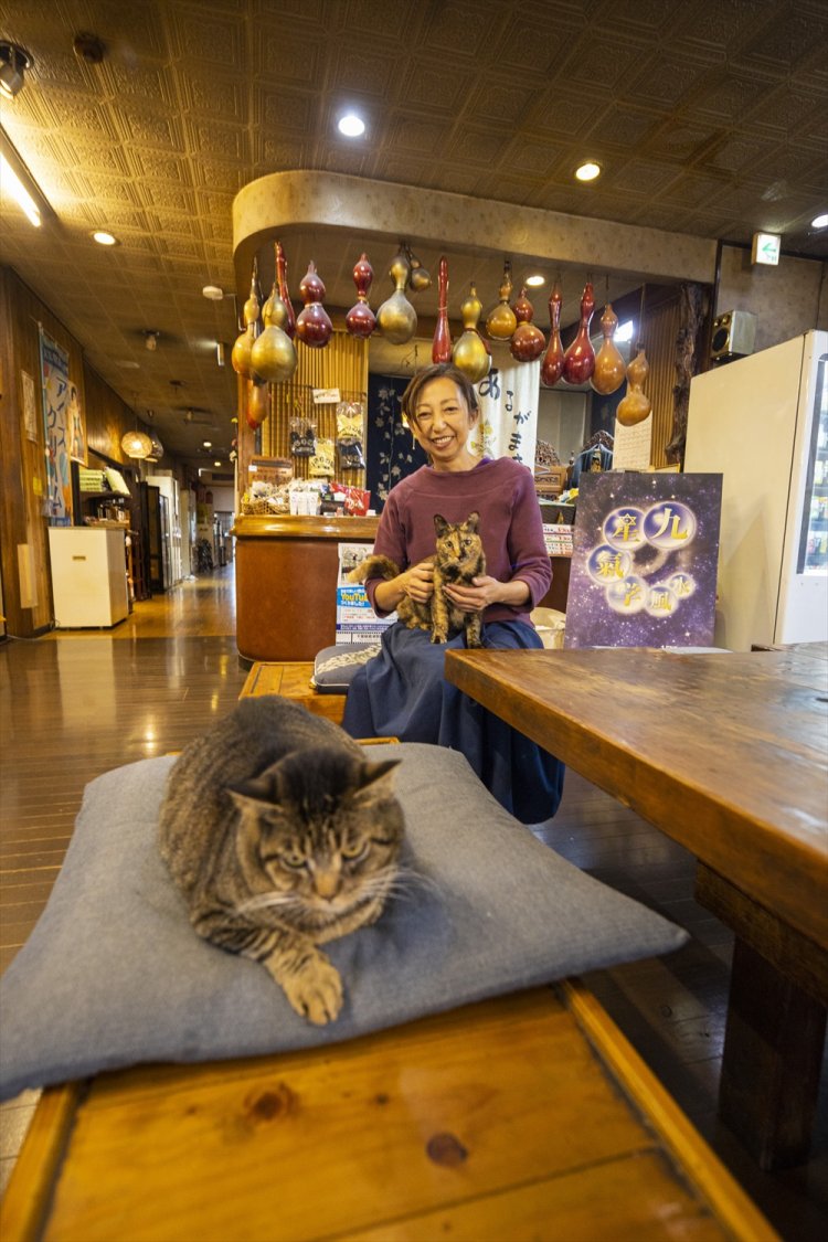 看板猫のタネたちと外川さん。