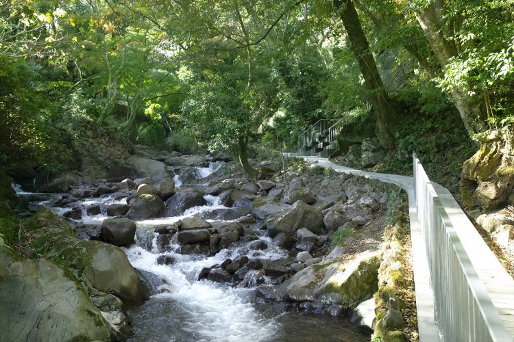 小径はマイナスイオンたっぷり!