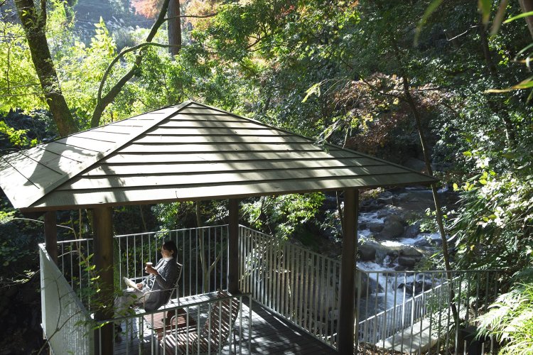 川沿いのテラスで森林浴＆読書。