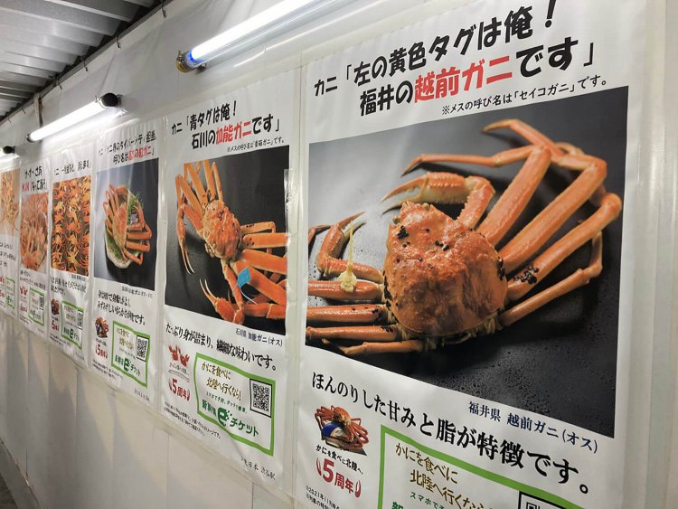 ポスターには、それぞれ工夫を凝らしたキャッチコピーが添えられている。