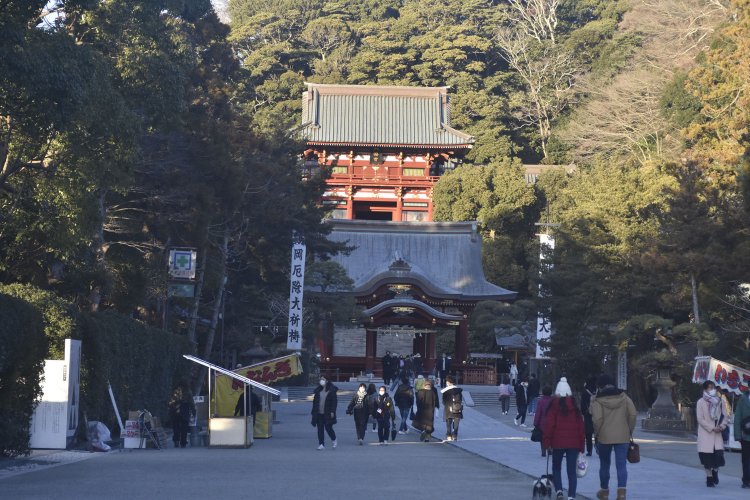 なぜ、頼朝は鎌倉を選んだのか？　源氏ゆかりの小社と、切通しから見えてくるもの