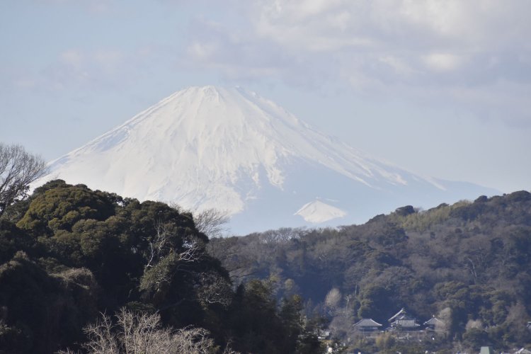 そして富士山の勇姿を眺めることができた。