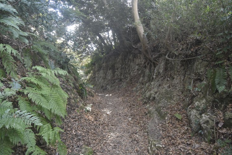 その先には少し高さがある名越第二切通しがある。