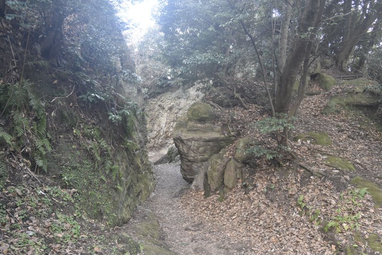 最も高さがあり、幅も狭いのが名越第一切通し。