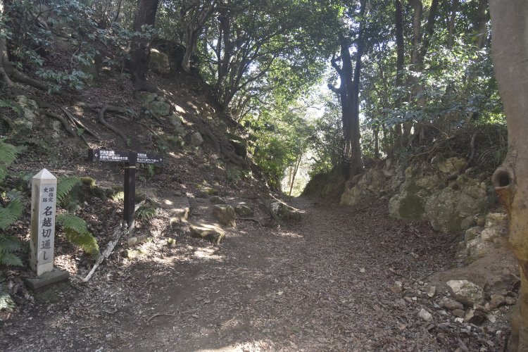 分岐点にもなっている名越第三切通し。