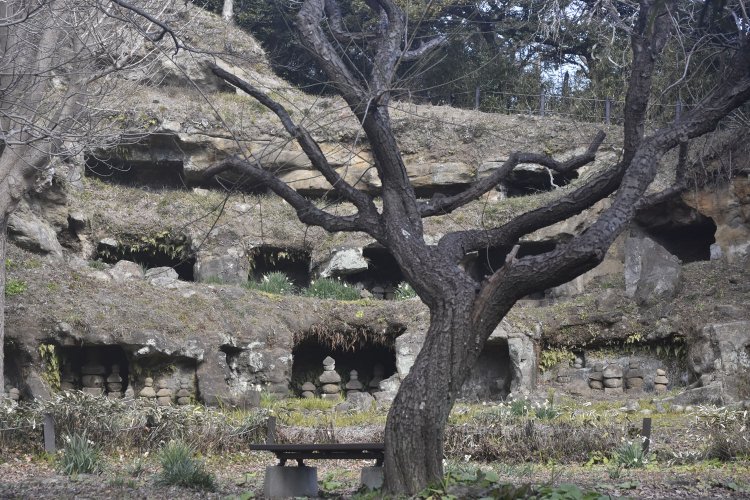 特別公開日には中に入れるが、普段はフェンス越しにしか見られないまんだら堂やぐら群。