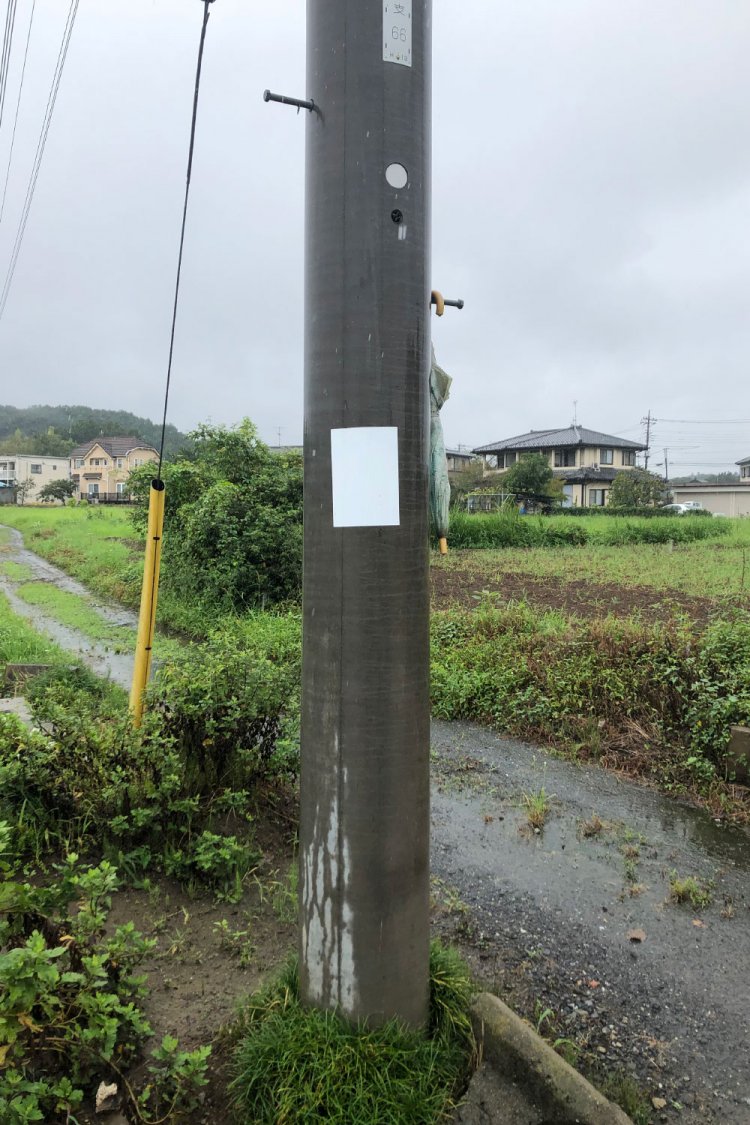 Power pole after the rain《雨上がりの電柱》