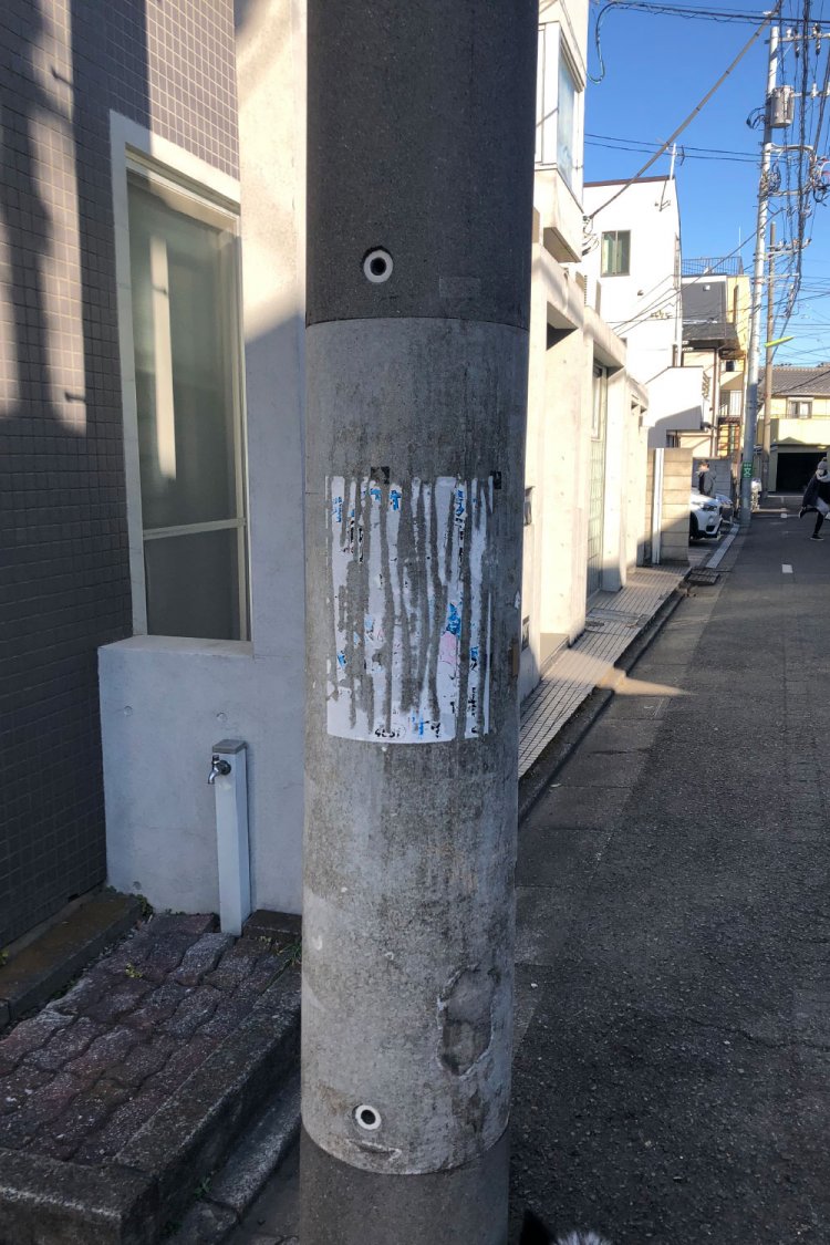 Scratch《爪研ぎ》