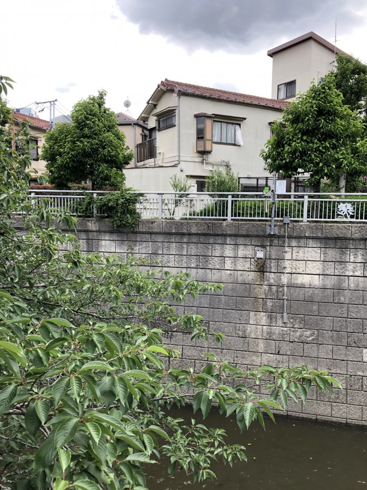 末広橋の周辺には“昭和”の残香あふれる 建物がまだ多く残っていた。『神田川』の時代、 早稲田あたりもこんな眺めだったろうか？