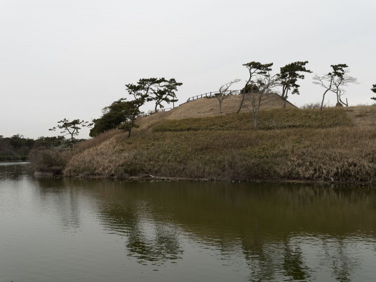 現在は「大池」と呼んでいる堀の部分から堡塁を望む。平地に築かれた平城の様相だ。