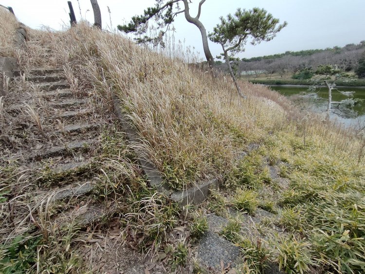 堀へと続く階段があった。これは砲台として活躍していたときの階段か不明。