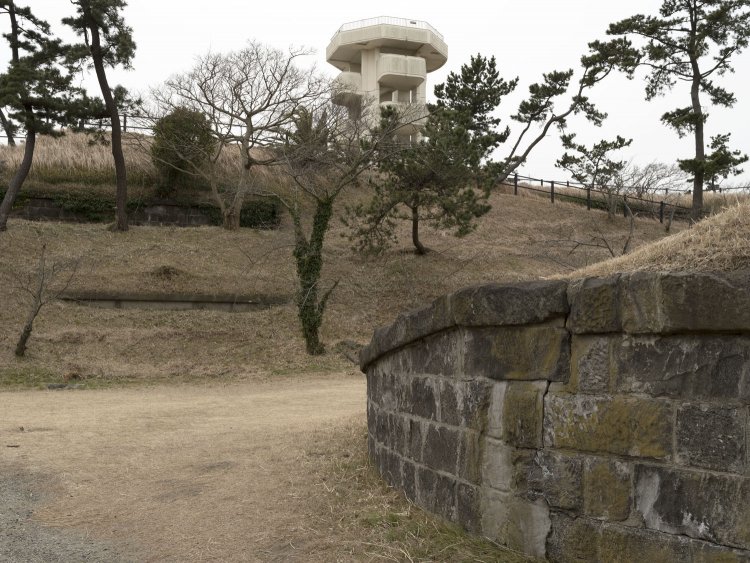 斜面を見る。掩蔽部には壁面の構造物が顔を出している。その上の石垣部分が横墻部分。あの展望台から全体像が掴める。