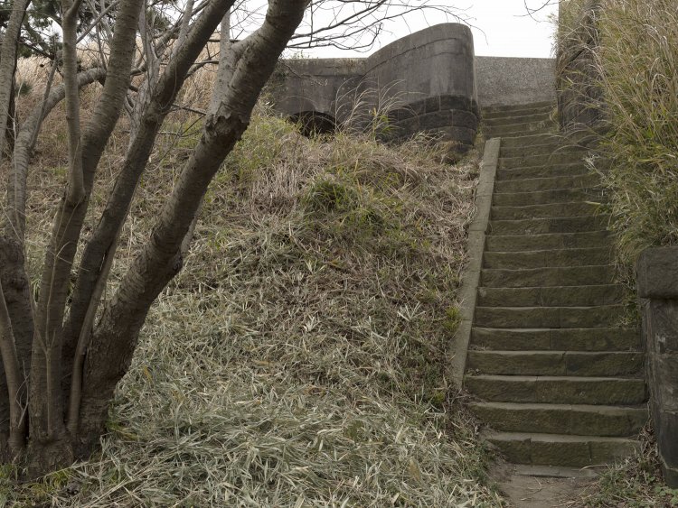 左翼観測室へ。草臥れた階段を上がる。