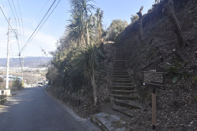 縺輔ｓ縺溘▽莨願ｱ・ｼ剃ｽｿ逕ｨ蛟呵｣・9_DSC5385