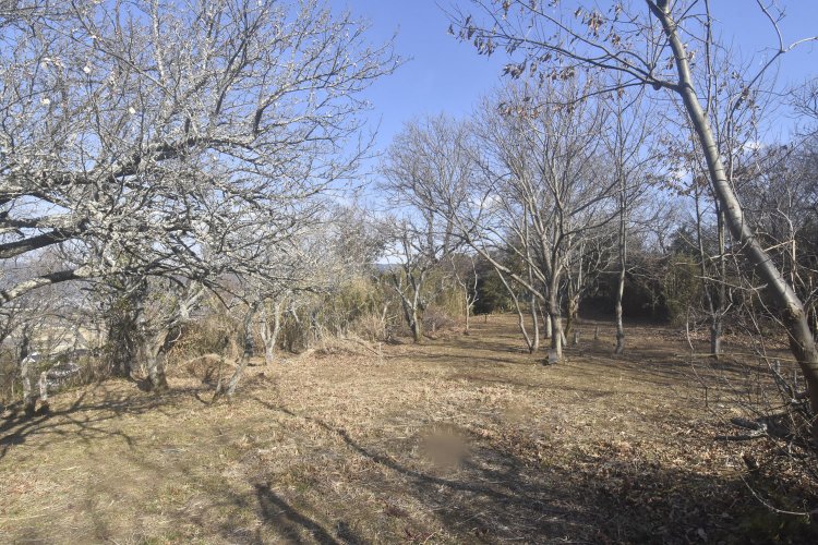 義時が馬の調練を行った上の馬場。今は一画が墓地になっていて、頂上が平地なのがわかる。