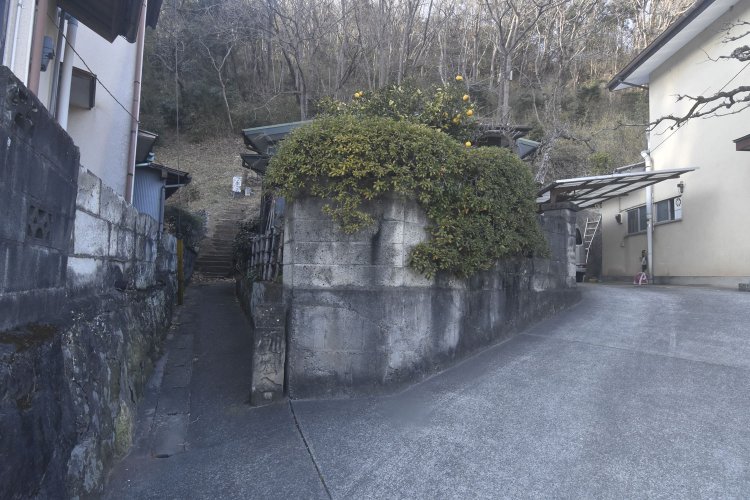 縺輔ｓ縺溘▽莨願ｱ・ｼ剃ｽｿ逕ｨ蛟呵｣・13_DSC5432