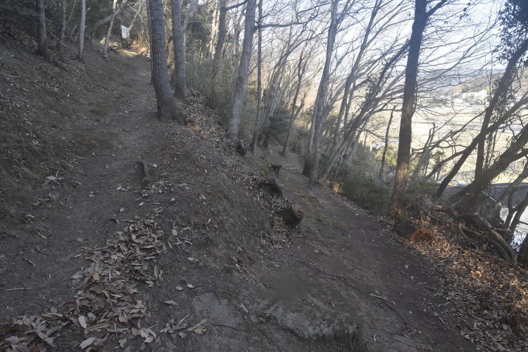 縺輔ｓ縺溘▽莨願ｱ・ｼ剃ｽｿ逕ｨ蛟呵｣・14_DSC5442