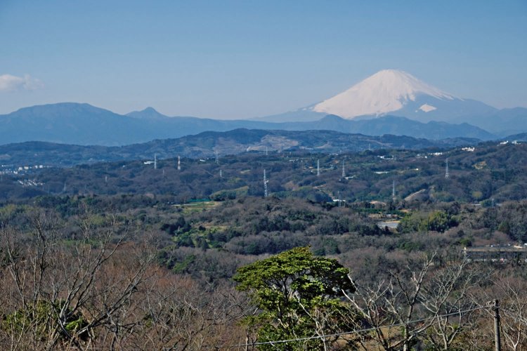 新展望台からの富士山。手前の丸い山は矢倉岳。左手の尖っている山は金時山。