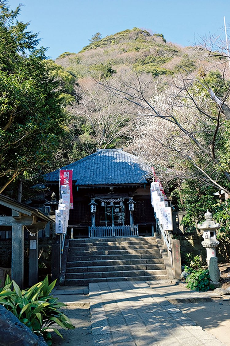 麓にある高来神社。背後にあるのが高麗山で、明治までは山全体が高麗寺の霊域と して保護されていた