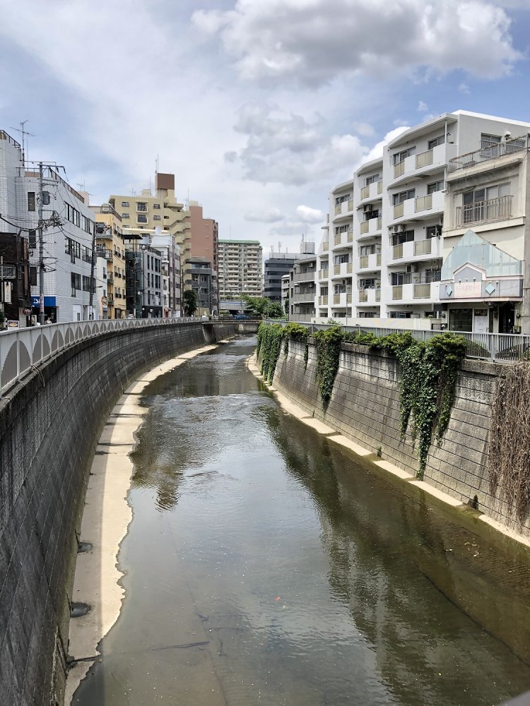 川沿いは鉄筋のマンションだらけ。 昔はここに木造モルタルの安アパートが、 いっぱい立っていたはずだが。