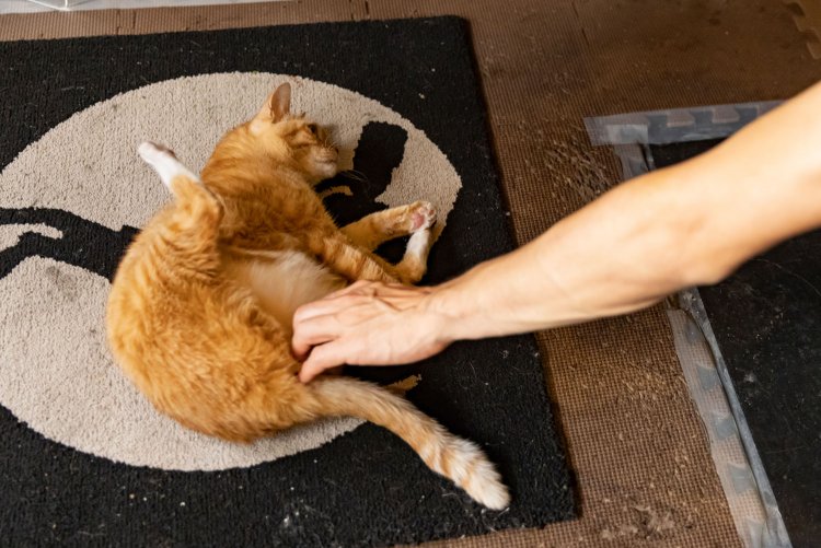 命の危機を乗り越えて今はこんなに幸せそうです。