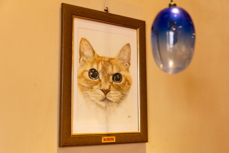 リアルですね〜。