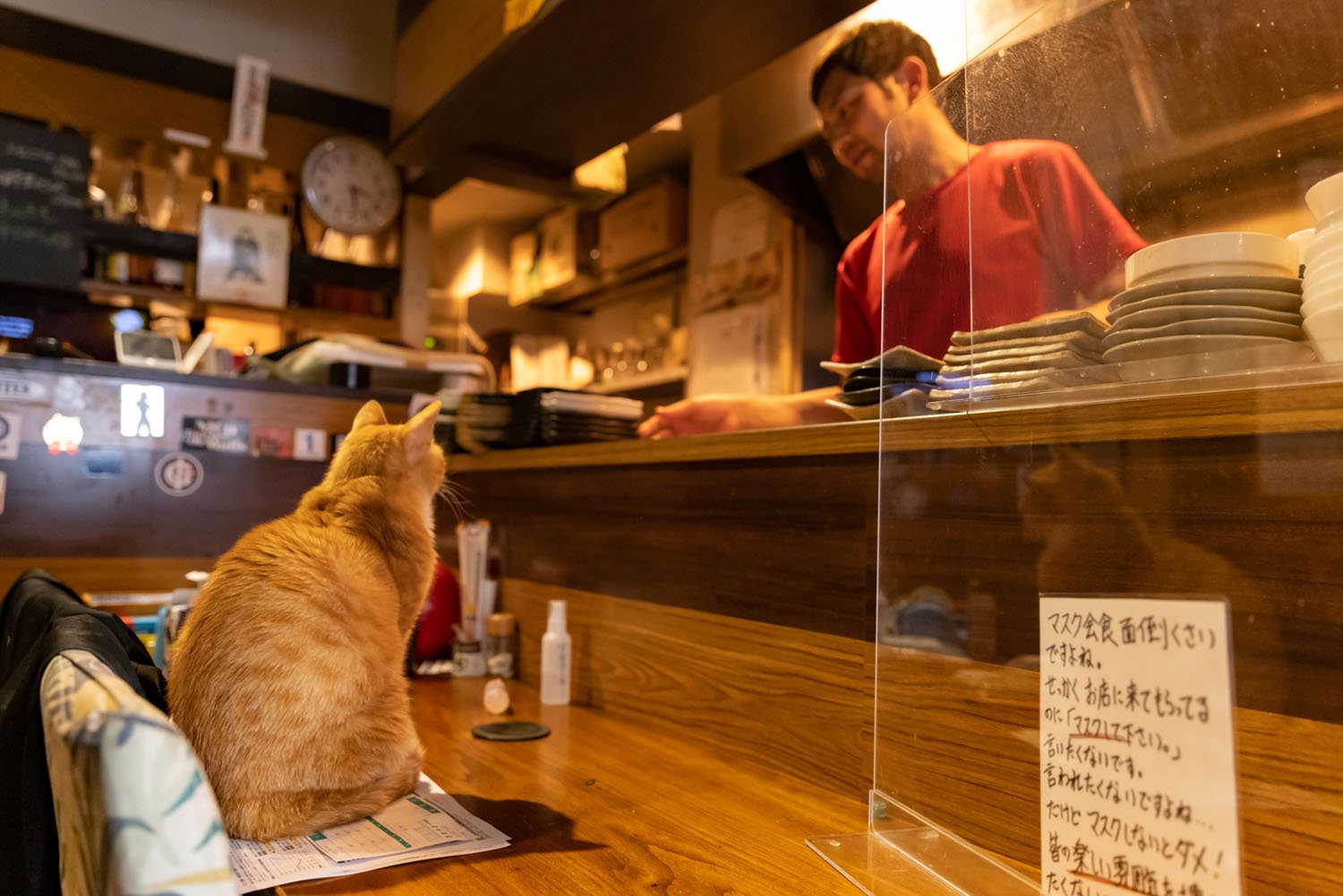 駒沢大学駅の居酒屋『SUIREN（スイレン）』の奇跡の看板猫・トムくん