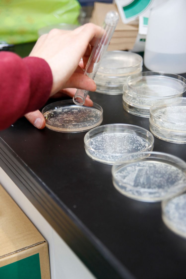 微生物が相手の研究が日々行われる。