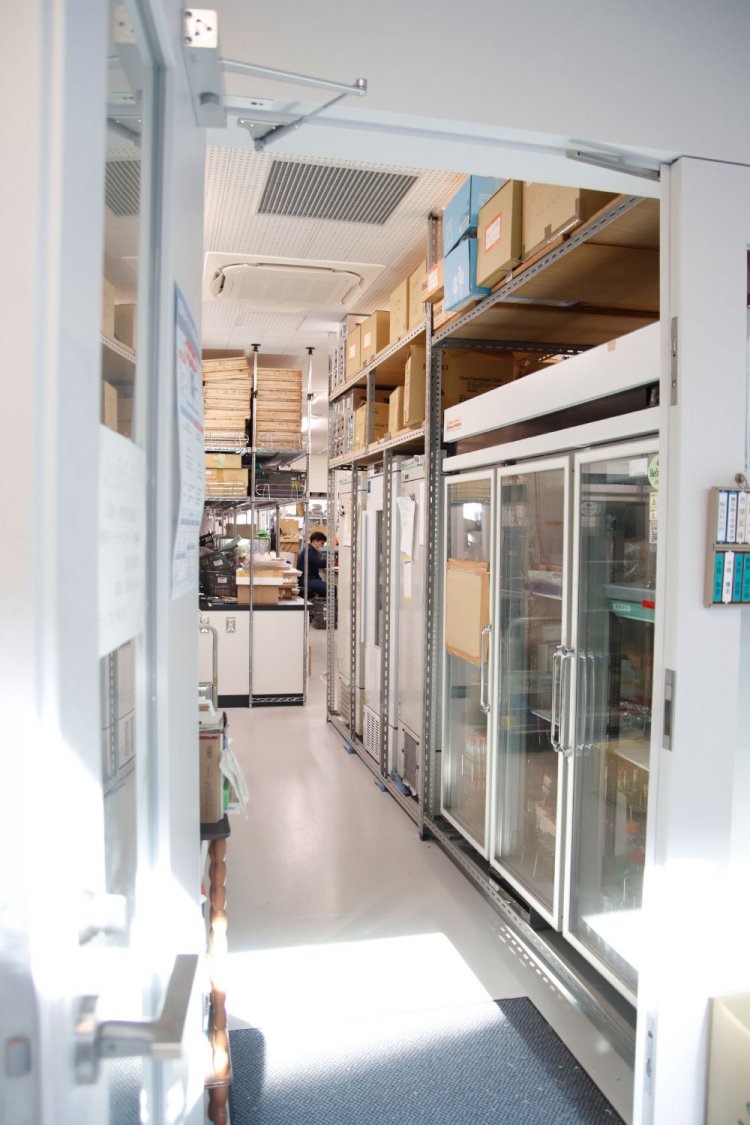 無菌状態のクリーンルームがある研究室。