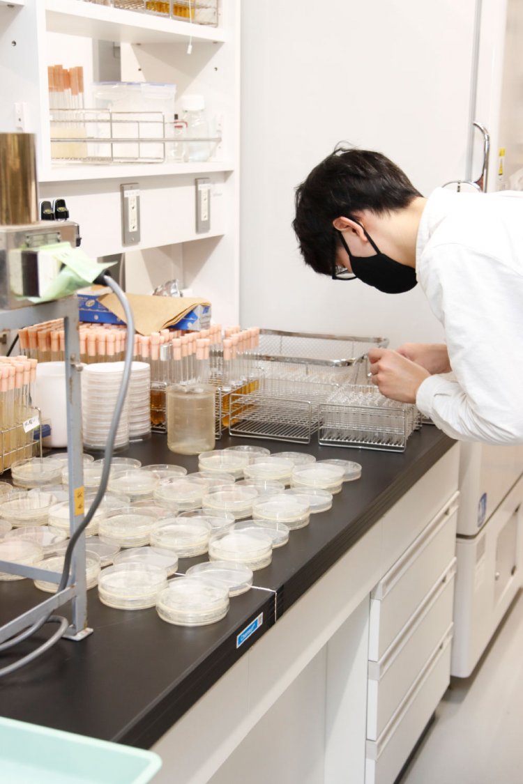 研究はすぐに結果がわかるものだけではない。コツコツ仕込んで、数時間、数日間待つなど、とにかく根気のいる作業。